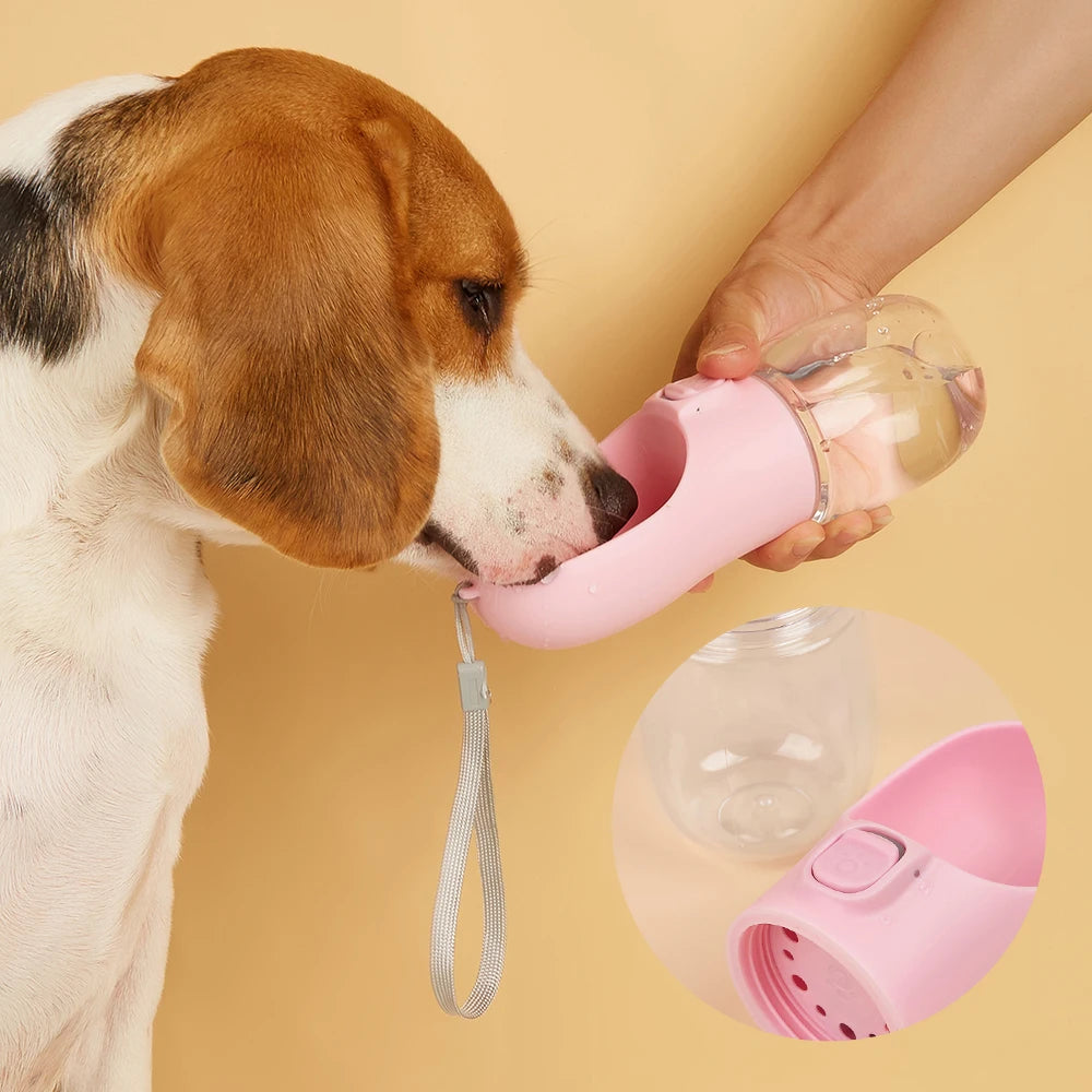Portable Dog Water Bottle for Outdoor Travel