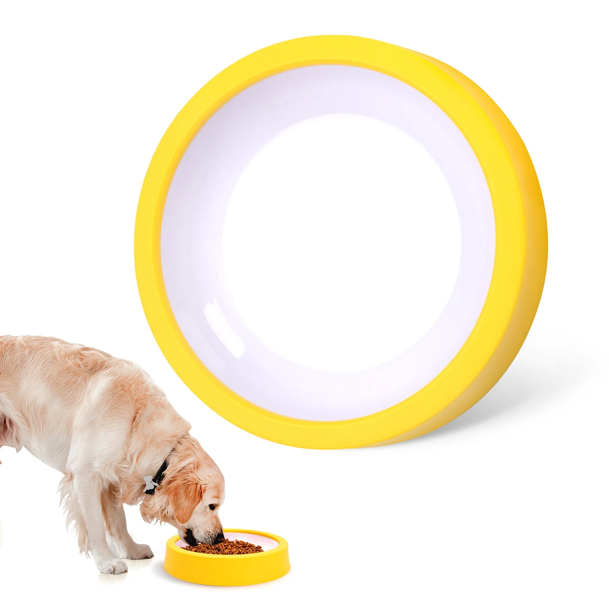 Non Slip Slow Feeder Bowl for Dogs and Cats