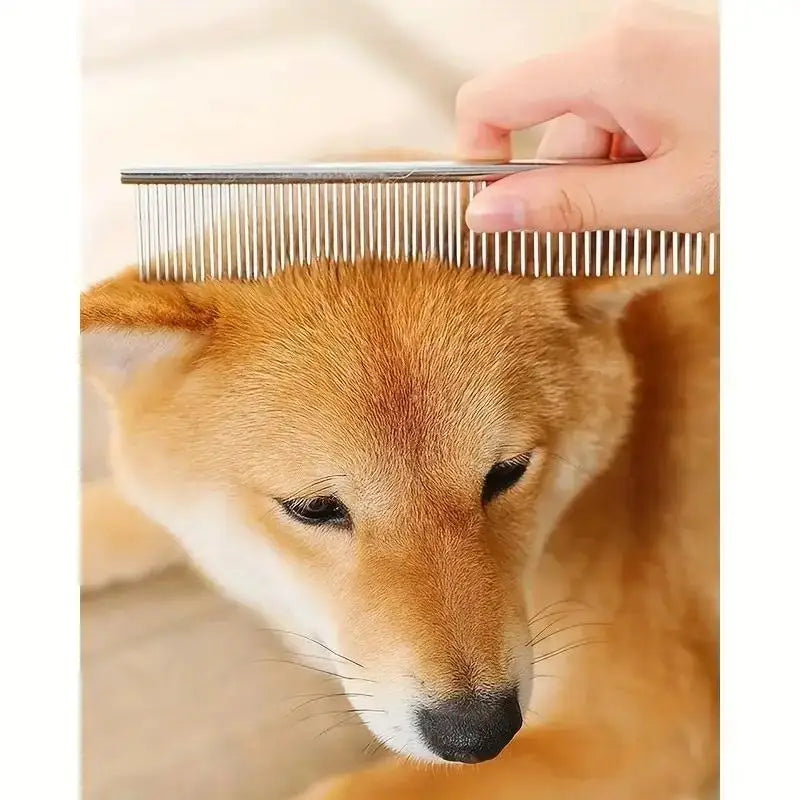 Stainless Steel Dog Grooming Shears Scissors for Dogs