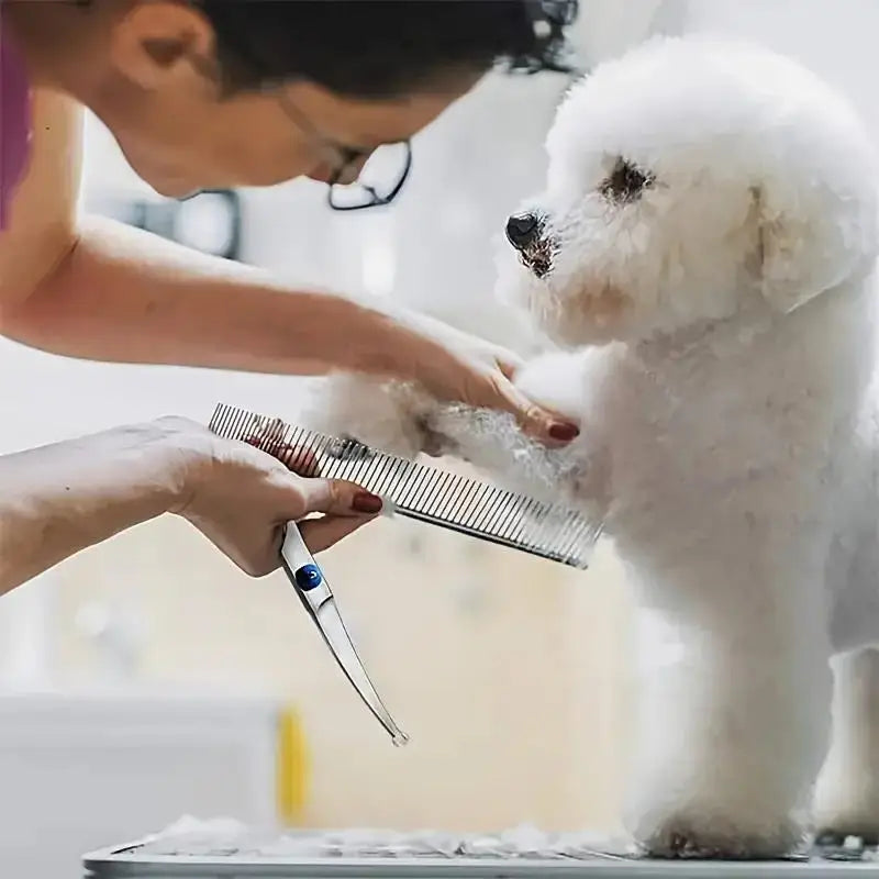 Stainless Steel Dog Grooming Shears Scissors for Dogs