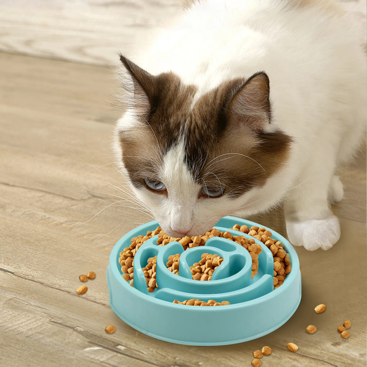 Non Slip Slow Feeder Bowl for Dogs and Cats