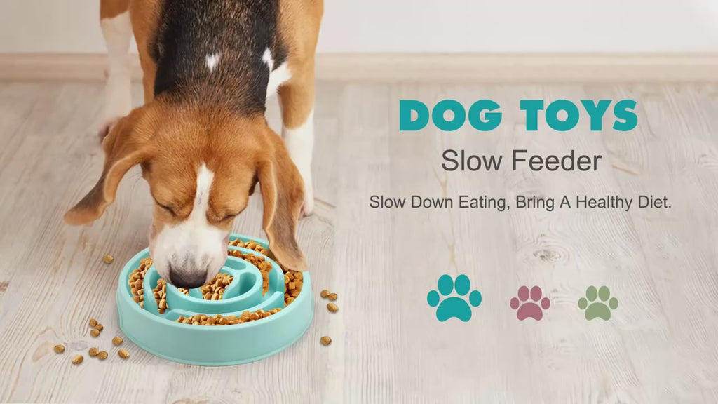 Non Slip Slow Feeder Bowl for Dogs and Cats