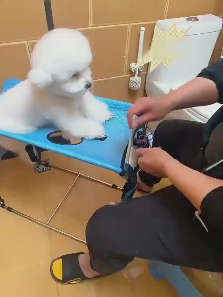 Foldable Pet Grooming Bath Table with Fixed Leash